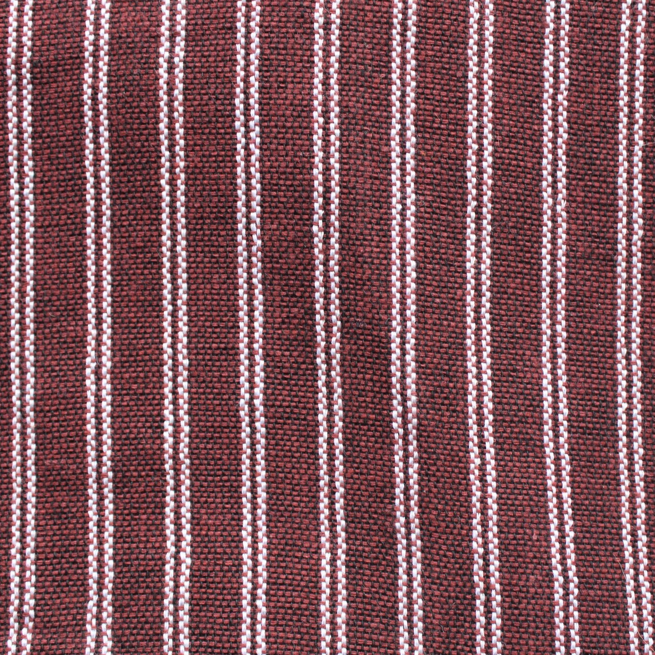 (Small) Maroonish with White Stripes 0239
